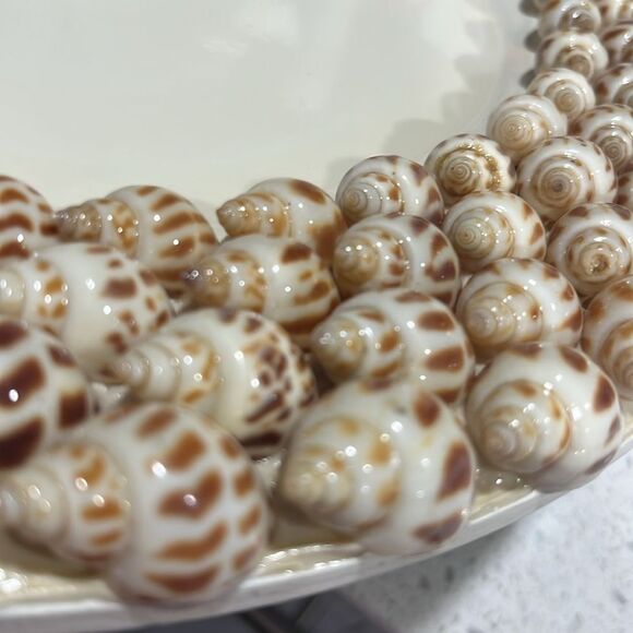 Gorgeous Sea Shell Lazy Susan Elegant Spotted Babylonia Areolata Shells RARE - Picture 5 of 5